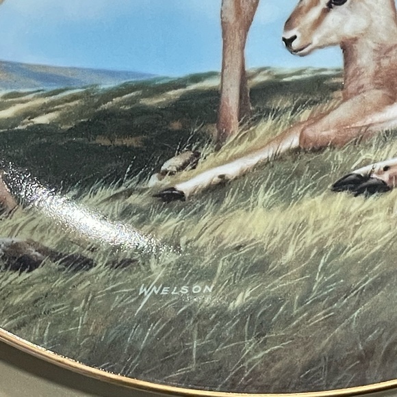 The Horned Gazelle Collectors Plate - Picture 3 of 4